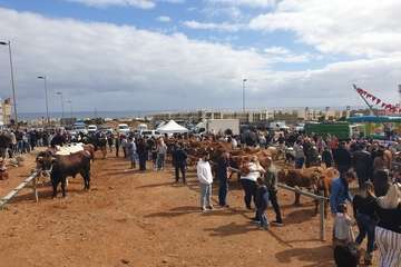 Los Llanos celebra el día grande de sus fiestas (Foto TA)